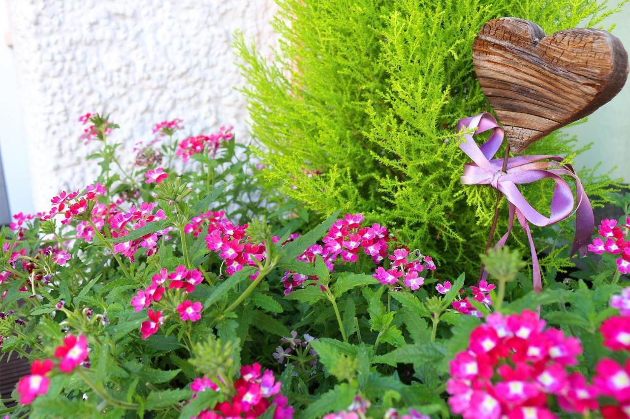 Schenna Garni Eden Bed & Breakfast Exterior foto